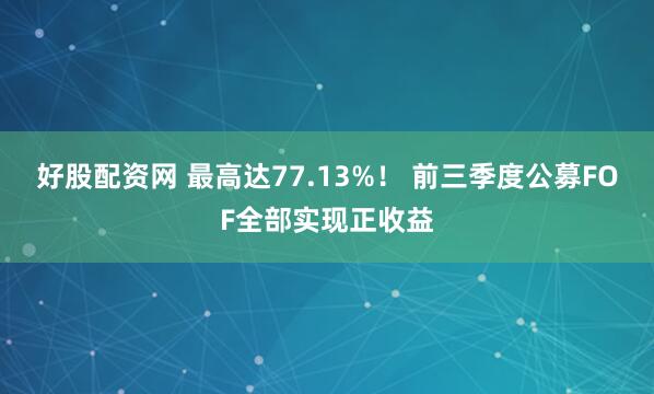 好股配资网 最高达77.13%！ 前三季度公募FOF全部实现正收益