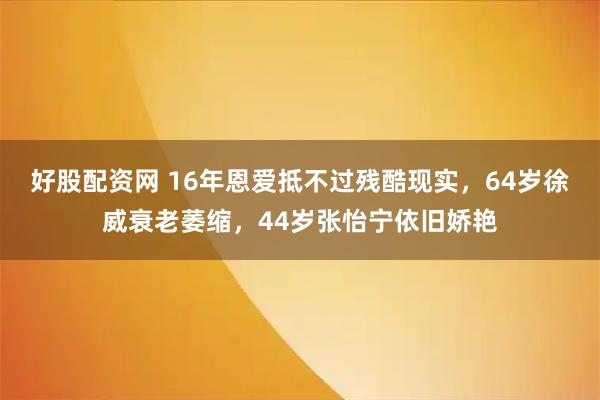 好股配资网 16年恩爱抵不过残酷现实，64岁徐威衰老萎缩，44岁张怡宁依旧娇艳