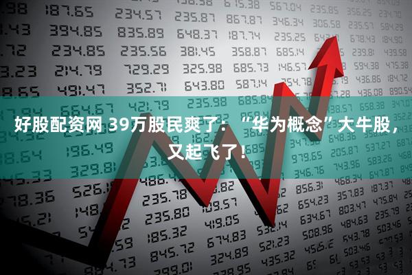 好股配资网 39万股民爽了：“华为概念”大牛股，又起飞了！