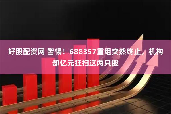 好股配资网 警惕！688357重组突然终止，机构却亿元狂扫这两只股