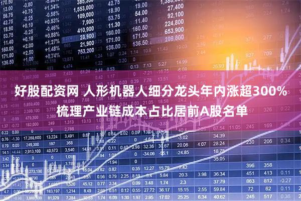 好股配资网 人形机器人细分龙头年内涨超300% 梳理产业链成本占比居前A股名单