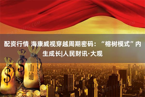 配资行情 海康威视穿越周期密码：“榕树模式”内生成长|人民财讯·大观